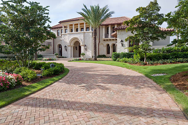 Best Local Driveway Pavers  in Weslaco, TX