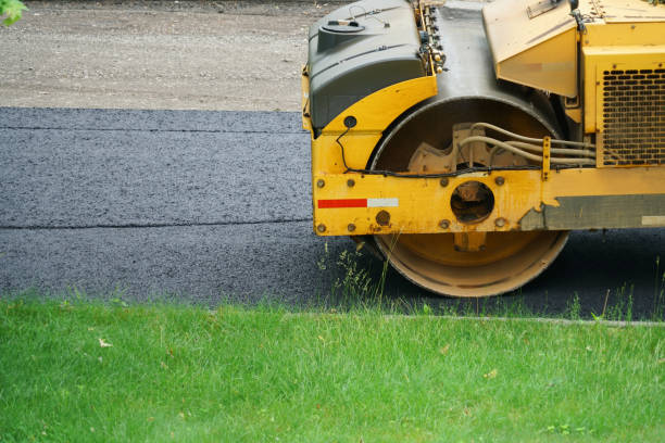 Best Local Driveway Pavers  in Weslaco, TX